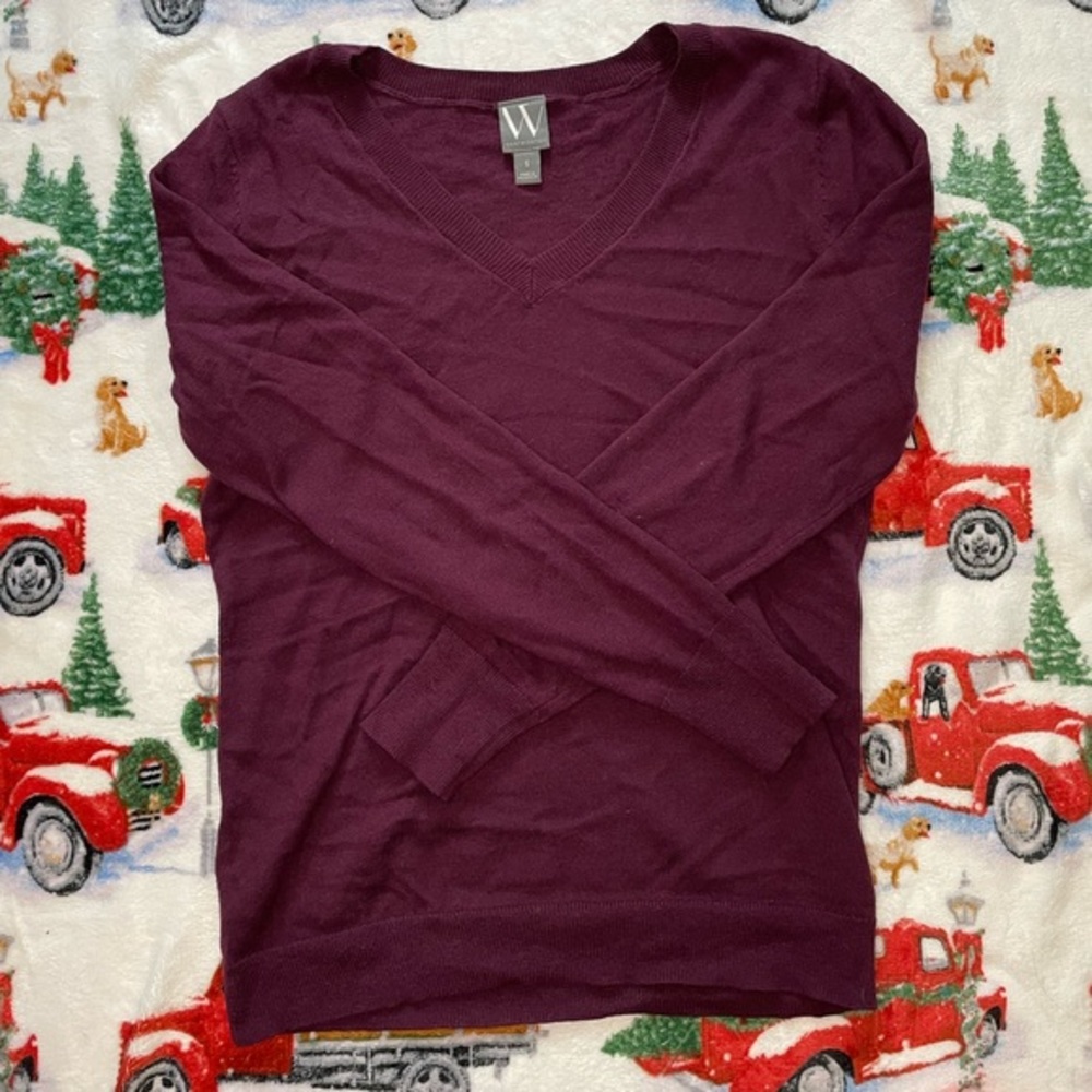 Worthington Purple V-Neck Long‎ Sleeve Shirt {Size Small}